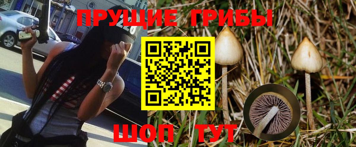 Галлюциногенные грибы MAGIC MUSHROOMS  Псилоцибиновые грибы Psilocybe  Кировск  дарнет шоп  Вход с VPN 