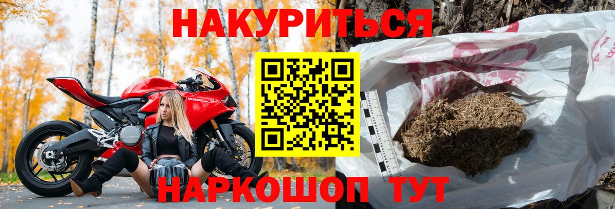 МАРИХУАНА сатива Кировск